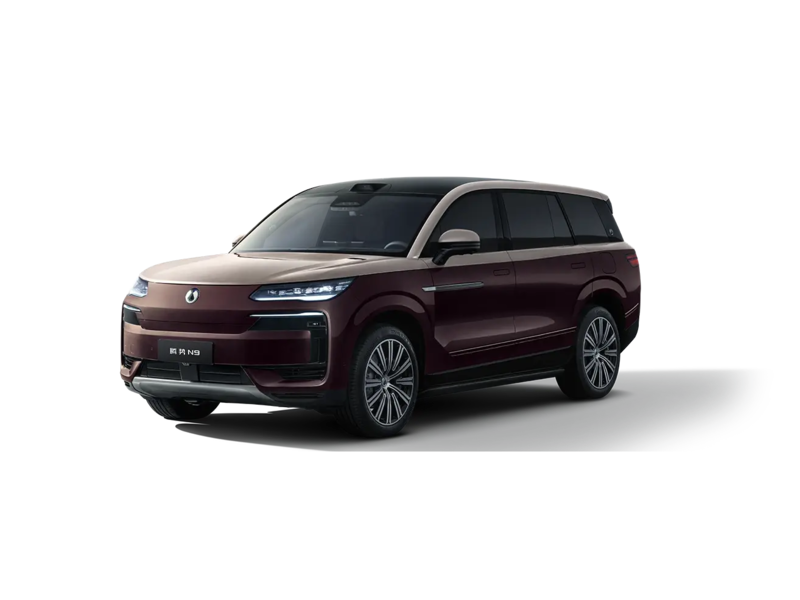 Denza N9