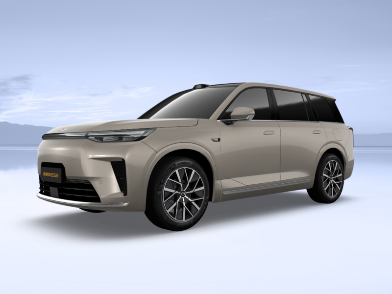 Gac Motor Xiangwang S9