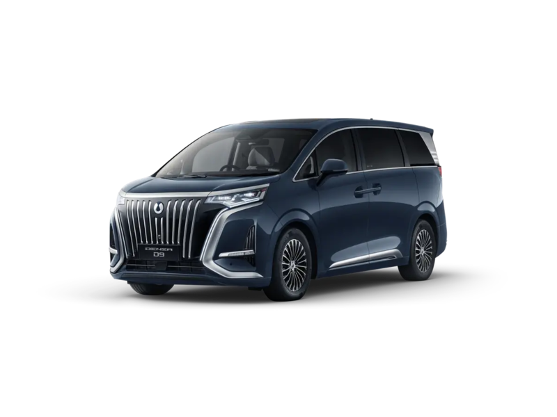 Denza D9